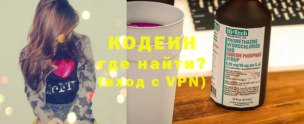 шишки Бородино