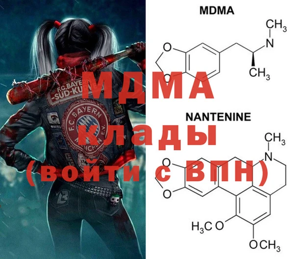 шишки Бородино