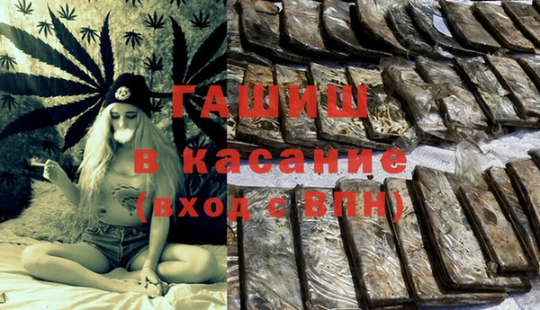 шишки Бородино
