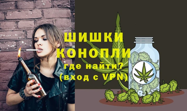 амф Верея