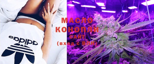 шишки Бородино