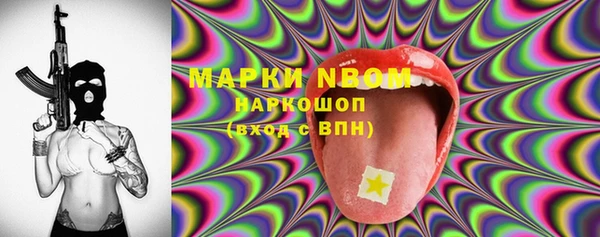 шишки Бородино