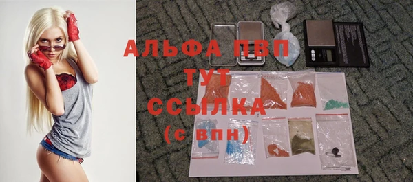 амф Верея