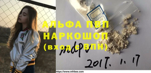 шишки Бородино