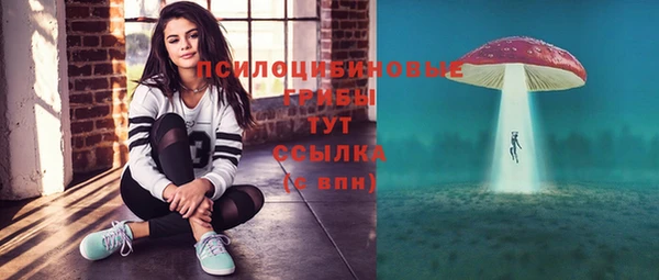 шишки Бородино
