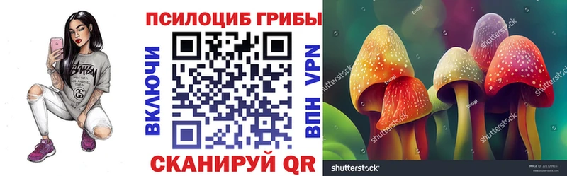 Галлюциногенные грибы Psilocybe  Зарайск 